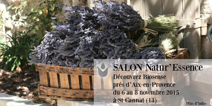 Salon Bio Natur'Essence matelas latex naturel provence 2015